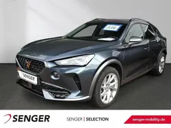 Grau Gebraucht 2022 Cupra Formentor SUV | 28.890 € (Fairer Preis)