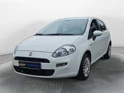 Weiß Gebraucht 2015 Fiat Punto Pop Kleinwagen | 5.999 € (Fairer Preis)