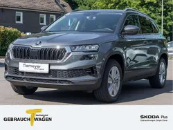 Grau Neu 2025 Skoda Karoq Selection SUV | 37.740 € (Fairer Preis)