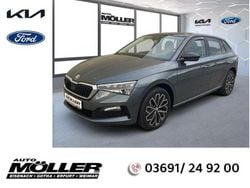 Grau Gebraucht 2019 Skoda Scala Business Line Kleinwagen | 14.350 € (Fairer Preis)