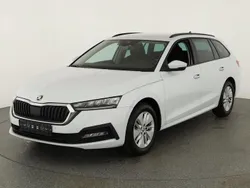 Moon weiß metallic Gebraucht 2024 Skoda Octavia Ambition Kombi | 31.445 € (Fairer Preis)
