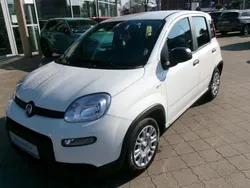 Weiß Neu 2025 Fiat Panda Kleinwagen | 16.990 €