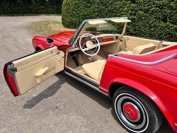 Rot Gebraucht 1965 Mercedes 230 Cabrio | 89.900 €
