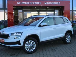 Moonweiss metallic Neu 2024 Skoda Karoq Fresh SUV | 30.990 € (Superpreis)