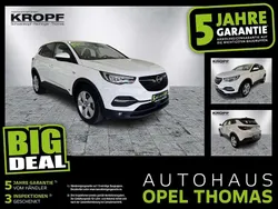 Jade weiss/arktis weiss Gebraucht 2021 Opel Grandland X Business Edition SUV | 19.490 € (Guter Preis)