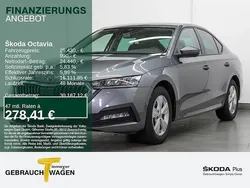 Grau Gebraucht 2024 Skoda Octavia Selection Limousine | 25.430 € (Guter Preis)