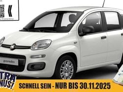 Gelato weiß Neu 2025 Fiat Panda Pop Limousine | 14.950 € (Fairer Preis)
