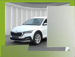 Moonweiss metallic Gebraucht 2021 Skoda Octavia Scout 4x4 Kombi | 27.990 € (Fairer Preis)