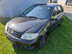Schwarz Gebraucht 2004 Fiat Punto Kleinwagen | 1.299 € (Fairer Preis)