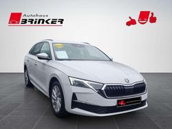 Moonweiss metallic Gebraucht 2025 Skoda Octavia Selection Kombi | 31.930 € (Guter Preis)