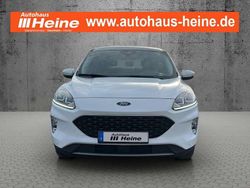 Frozen white Gebraucht 2022 Ford Kuga Cool & Connect SUV | 21.990 € (Guter Preis)
