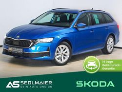 Raceblau Gebraucht 2024 Skoda Octavia Selection Kombi | 31.900 € (Fairer Preis)
