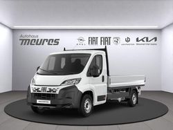 Weiss Neu 2025 Fiat Ducato Van | 40.480 € (Fairer Preis)