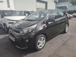 Schwarz Gebraucht 2019 Kia Picanto Kleinwagen | 9.480 € (Fairer Preis)