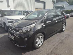 Schwarz Gebraucht 2019 Kia Picanto Kleinwagen | 9.480 € (Fairer Preis)