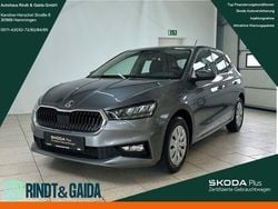 Grau Gebraucht 2024 Skoda Fabia Selection Kleinwagen | 18.999 € (Guter Preis)