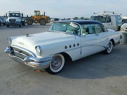 Weiß Gebraucht 1955 Buick Roadmaster Coupé | 11.000 €