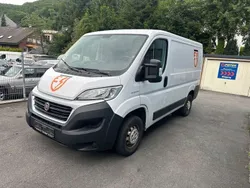 Weiß Gebraucht 2019 Fiat Ducato Van | 7.490 € (Superpreis)