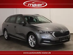 Grau Gebraucht 2022 Skoda Octavia Kombi | 19.700 € (Superpreis)