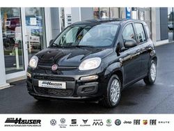 Schwarz Neu 2025 Fiat Panda Icon Limousine | 16.785 € (Etwas zu teuer)