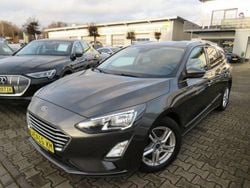 Andere Gebraucht 2019 Ford Focus Cool & Connect Limousine | 12.490 € (Guter Preis)