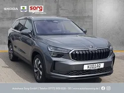 Graphitegrau metallic Gebraucht 2024 Skoda Kodiaq Selection SUV | 43.990 € (Guter Preis)