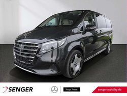 Graphitgrau Gebraucht 2025 Mercedes 300 Exclusive Kombi | 91.450 €