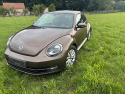 Braun Gebraucht 2014 VW Beetle Design Limousine | 8.900 € (Guter Preis)