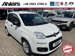 Weiss Gebraucht 2017 Fiat Panda Easy Kleinwagen | 7.890 € (Fairer Preis)