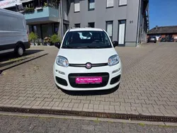 Andere Gebraucht 2014 Fiat Panda Kleinwagen | 5.790 € (Fairer Preis)