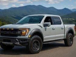 Grau Gebraucht 2023 Ford F-150 Raptor Abholung | 88.500 € (Guter Preis)