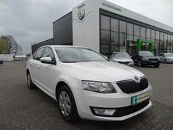 Weiß Gebraucht 2013 Skoda Octavia Ambition Limousine | 13.590 €