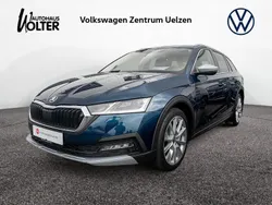 Blau Gebraucht 2022 Skoda Octavia Scout Kombi | 28.470 € (Etwas zu teuer)
