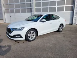 Weiß Gebraucht 2021 Skoda Octavia Ambition Limousine | 19.500 € (Superpreis)