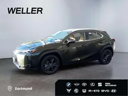Gruen Neu 2025 Lexus UX 300h SUV | 42.590 € (Etwas zu teuer)