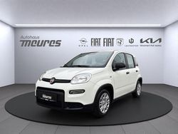Weiss Gebraucht 2025 Fiat Panda Kleinwagen | 13.450 € (Fairer Preis)