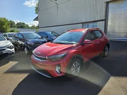 Neu 2024 Kia Stonic Vision SUV | 21.970 € (Guter Preis)