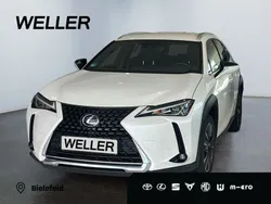 Weiss Gebraucht 2022 Lexus UX 250h SUV | 26.990 € (Guter Preis)