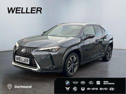 Andere Gebraucht 2022 Lexus UX SUV | 36.380 €