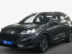 Grau Gebraucht 2024 Ford Kuga ST-Line SUV | 29.929 € (Guter Preis)