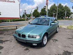 Grün Gebraucht 1999 BMW 316 Kleinwagen | 2.990 € (Etwas zu teuer)
