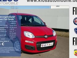Rot Neu 2025 Fiat Panda Kleinwagen | 14.990 € (Fairer Preis)