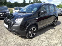 Schwarz Gebraucht 2023 Fiat Panda Kleinwagen | 12.999 € (Fairer Preis)