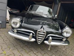 Schwarz Gebraucht 1964 Alfa Romeo Giulia Spider Cabrio | 65.000 €