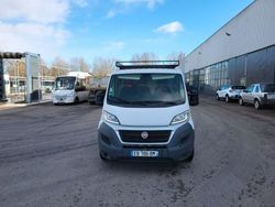 Weiß Gebraucht 2016 Fiat Ducato Van | 15.000 € (Fairer Preis)
