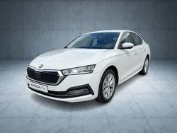 Weiß Gebraucht 2022 Skoda Octavia Style Limousine | 23.990 € (Guter Preis)
