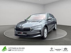 Grau Gebraucht 2024 Skoda Octavia Selection Kombi | 28.990 € (Guter Preis)