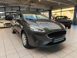 Grau Gebraucht 2020 Ford Fiesta Trend Kleinwagen | 11.590 € (Fairer Preis)