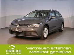 Delfingrau metallic Gebraucht 2023 VW Golf VIII Life Kombi | 19.740 € (Fairer Preis)