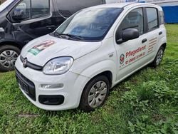 Gelato wei? Gebraucht 2015 Fiat Panda Kleinwagen | 4.580 €